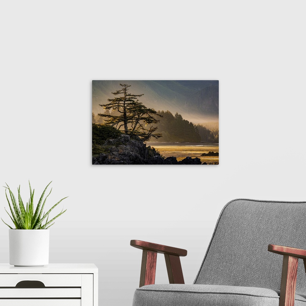 A modern room featuring Sunrise on Nootka Island at low tide in Nuchatlitz Provincial Park; British Columbia, Canada