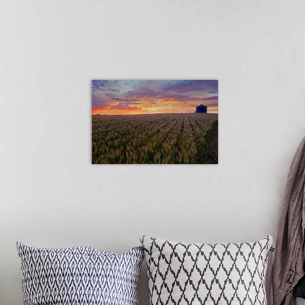 A bohemian room featuring Sunrise Over A Barley Field With Grain Silo In Central Alberta, Canada