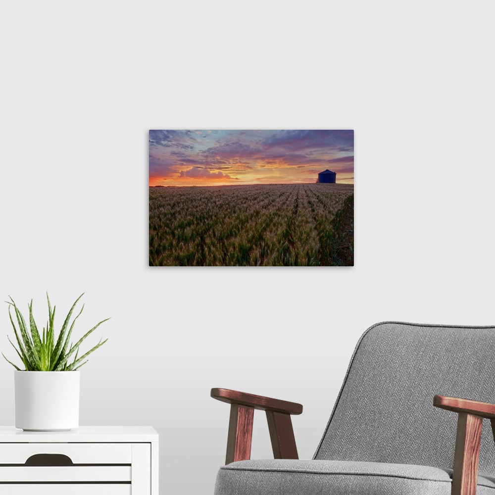 A modern room featuring Sunrise Over A Barley Field With Grain Silo In Central Alberta, Canada