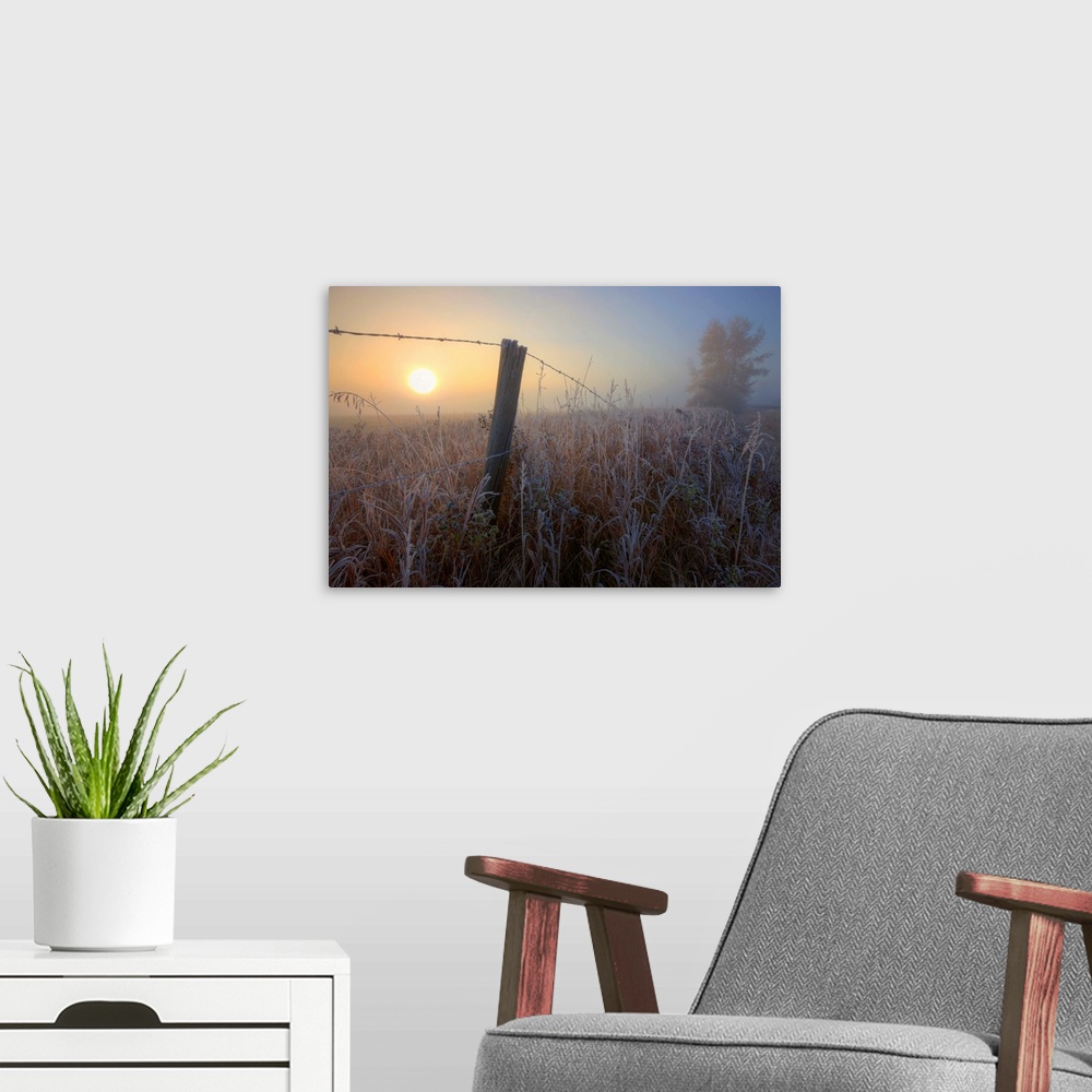 A modern room featuring Sunrise Over Hoar Frost-Covered Barbed Wire Fence, Alberta Prairie, Canada