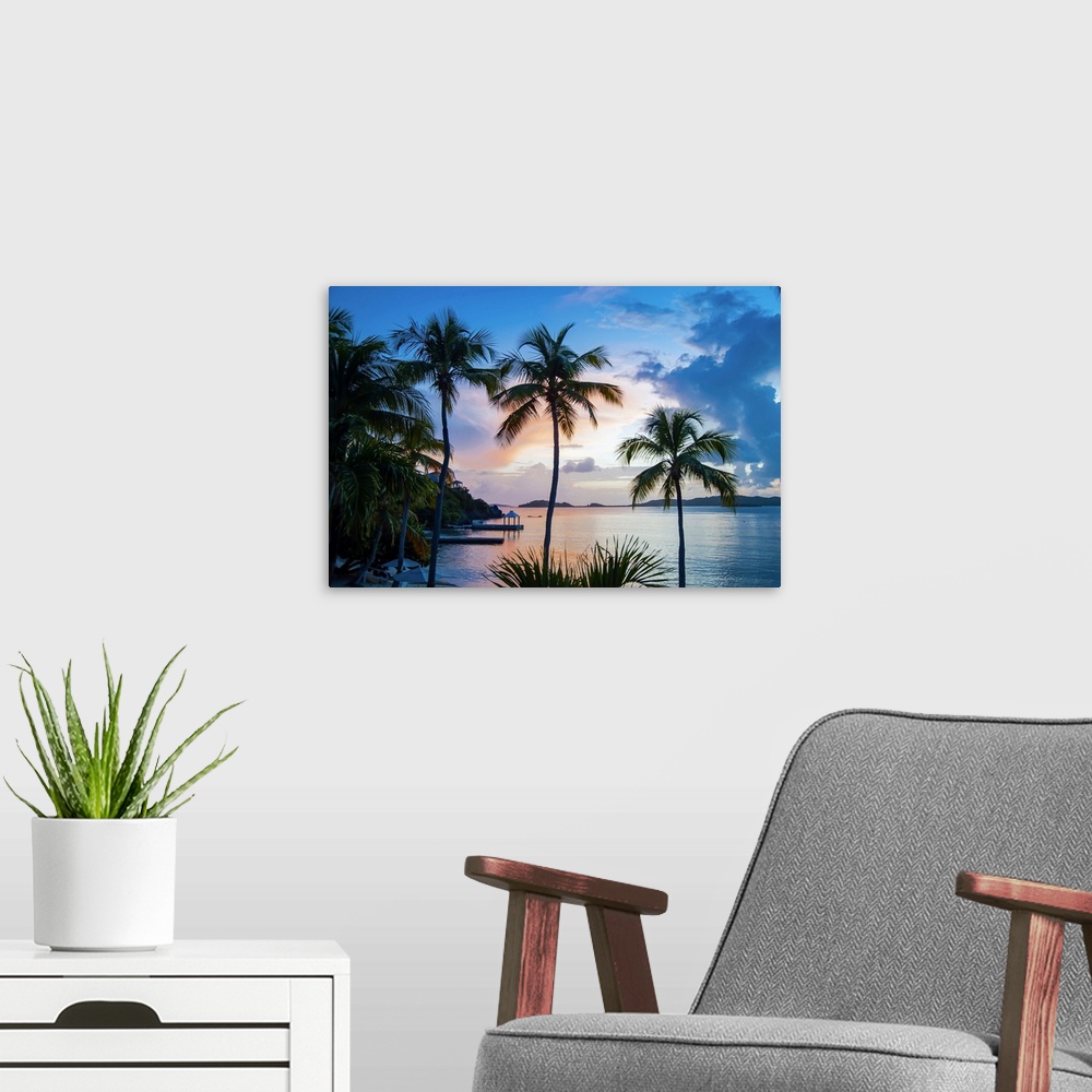 A modern room featuring Sunset And Palm Trees On The Caribbean Island Of Saint Thomas, Virgin Islands