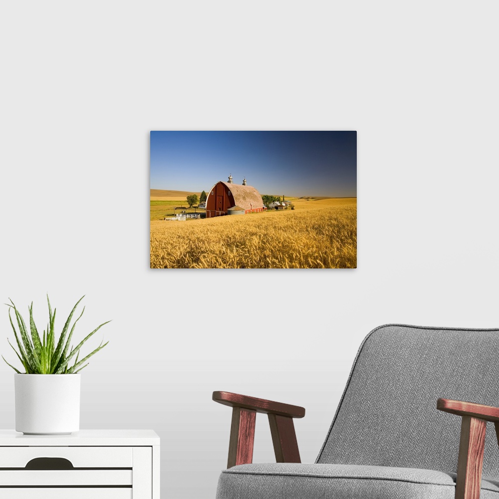 A modern room featuring Sunset Barn And Wheat Field, Steptoe Butte, Washington