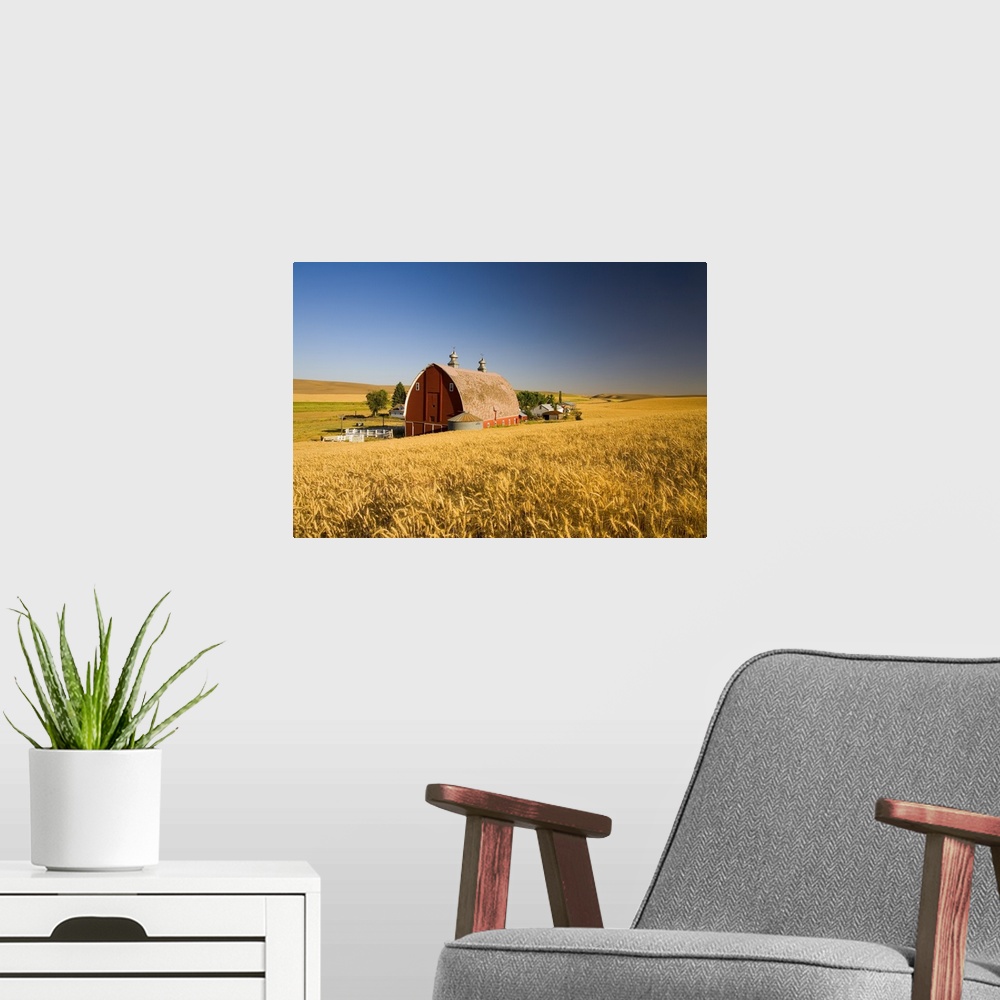 A modern room featuring Sunset Barn And Wheat Field, Steptoe Butte, Washington