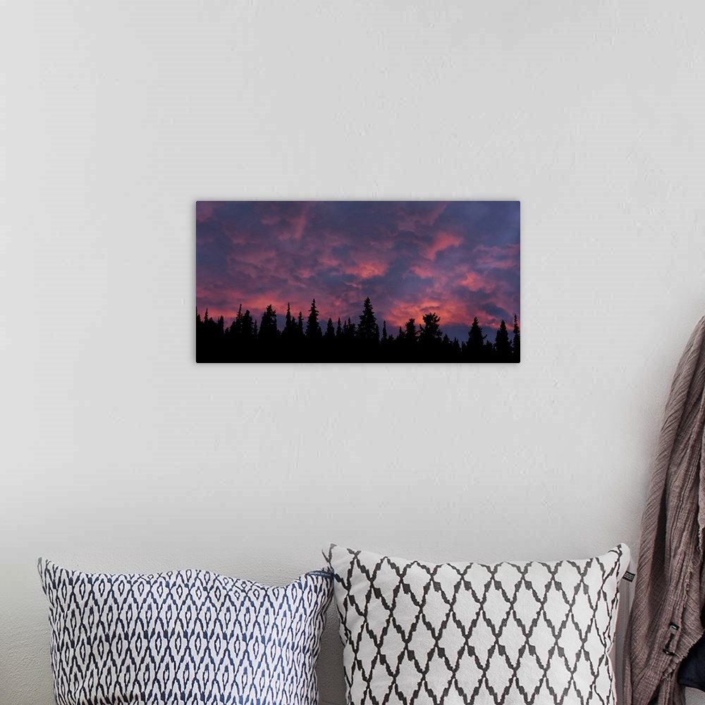 A bohemian room featuring Incredible sunset over the trees in Whitehorse, Yukon