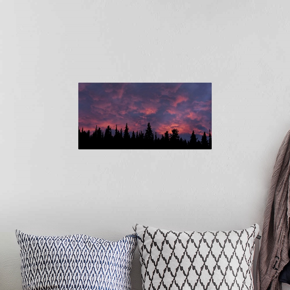 A bohemian room featuring Incredible sunset over the trees in Whitehorse, Yukon