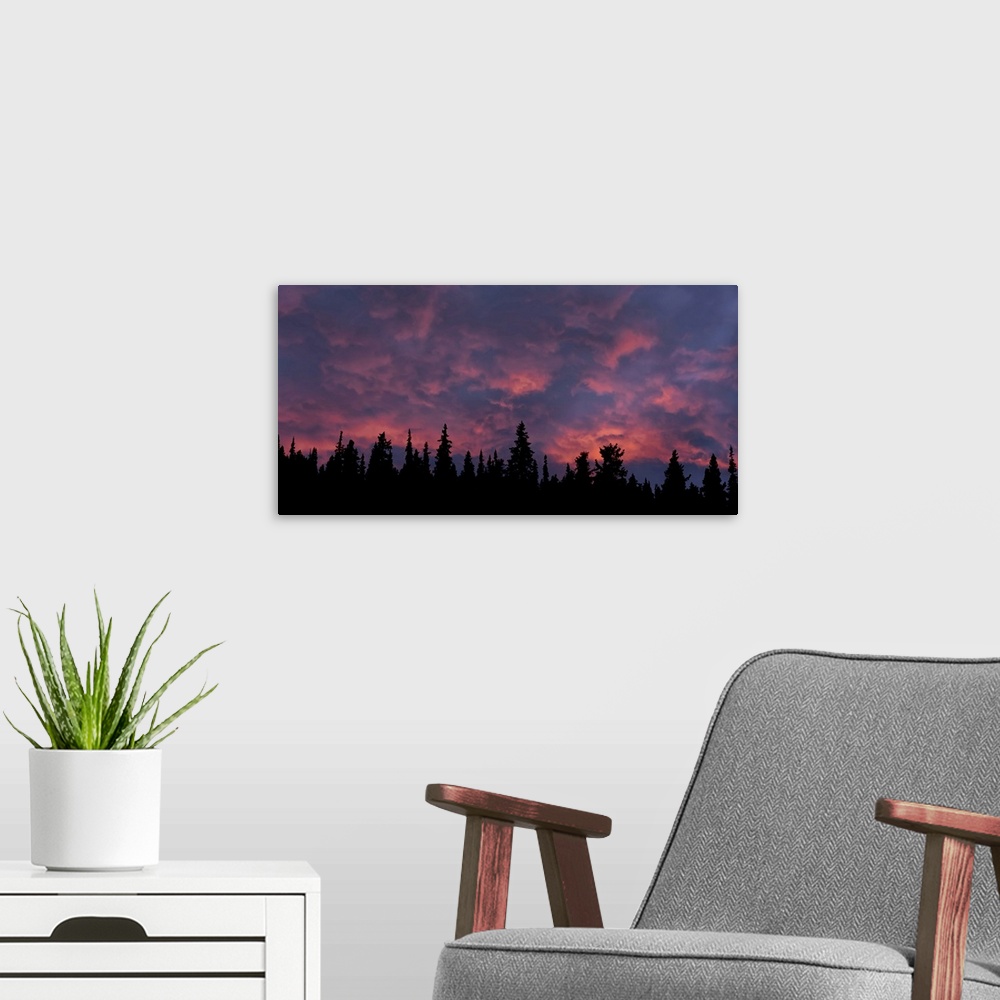A modern room featuring Incredible sunset over the trees in Whitehorse, Yukon