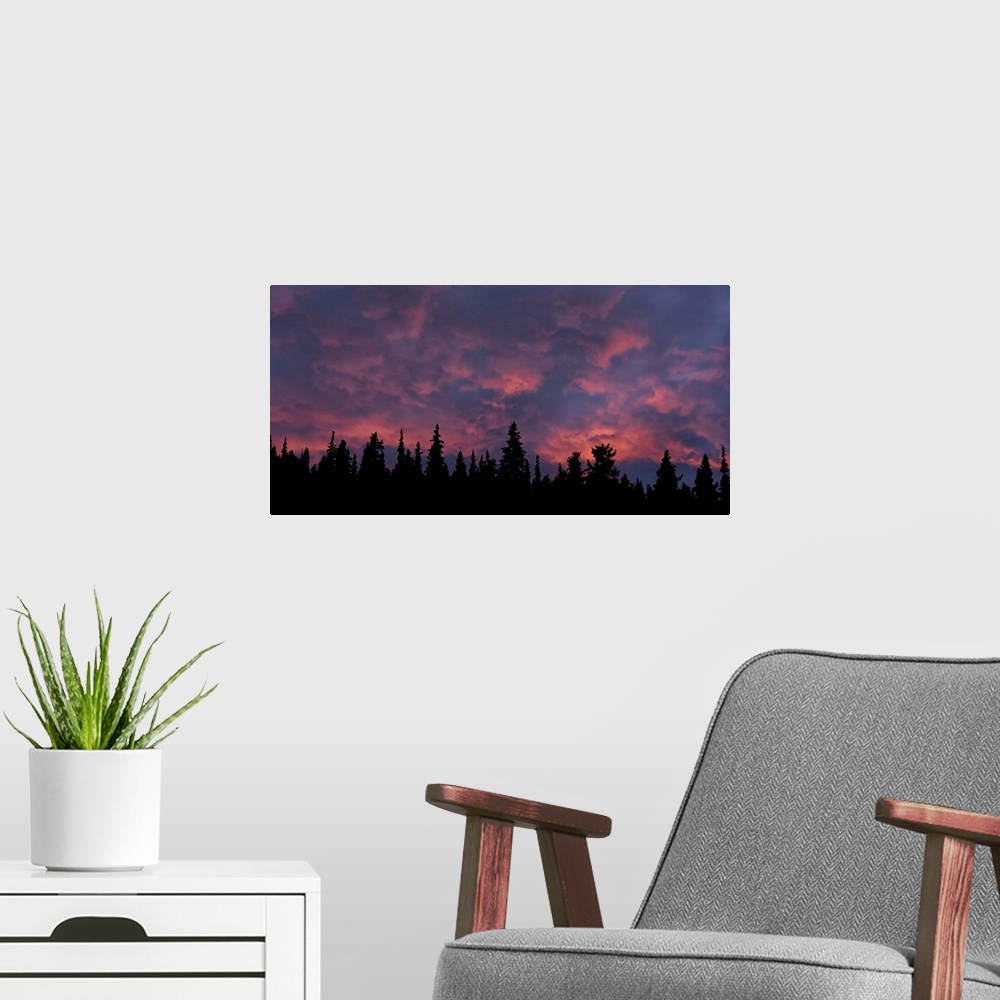 A modern room featuring Incredible sunset over the trees in Whitehorse, Yukon