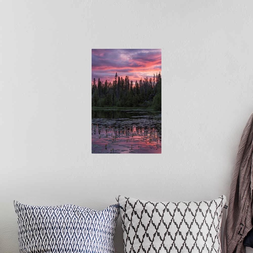 A bohemian room featuring Sunset over a small beaver pond along the Yellowhead Highway near Smithers, Canada
