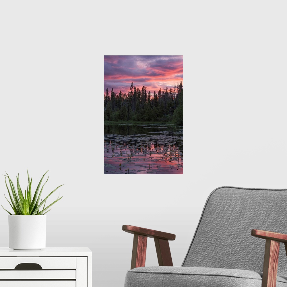 A modern room featuring Sunset over a small beaver pond along the Yellowhead Highway near Smithers, Canada