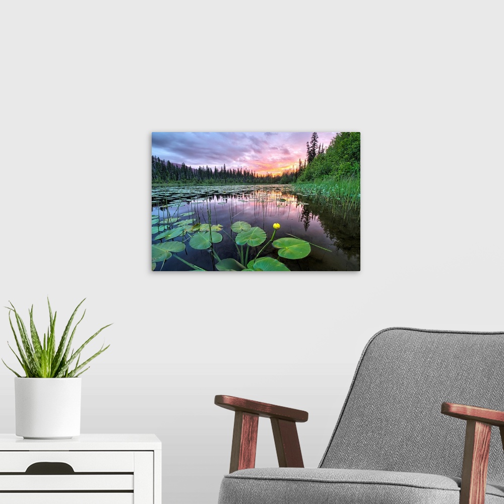 A modern room featuring Sunset over an unnamed lake with water lilies along the Yellowhead Highway, Canada