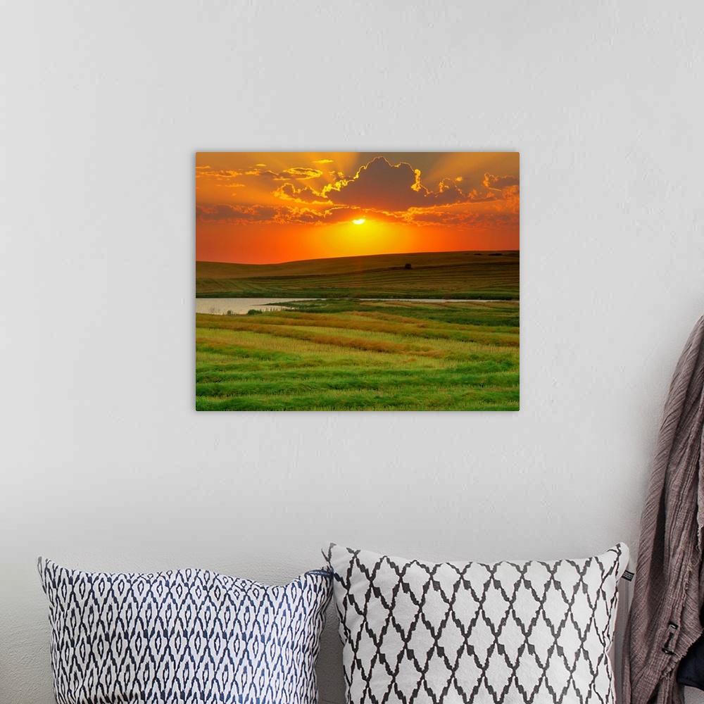 A bohemian room featuring Sunset Over Harvested Canola Field, Saint Denis, Saskatchewan, Canada