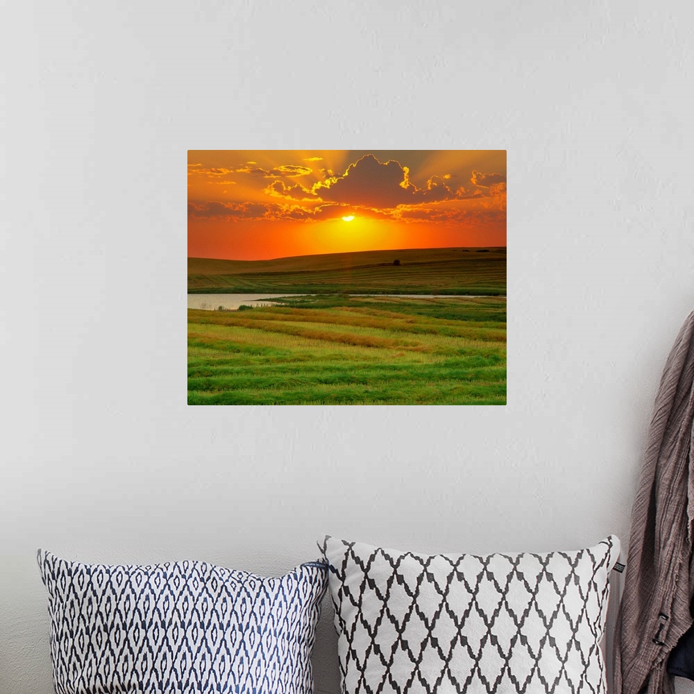 A bohemian room featuring Sunset Over Harvested Canola Field, Saint Denis, Saskatchewan, Canada