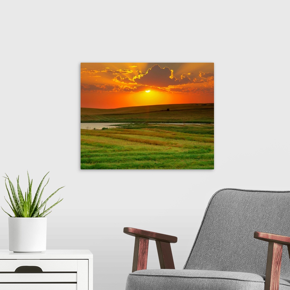 A modern room featuring Sunset Over Harvested Canola Field, Saint Denis, Saskatchewan, Canada