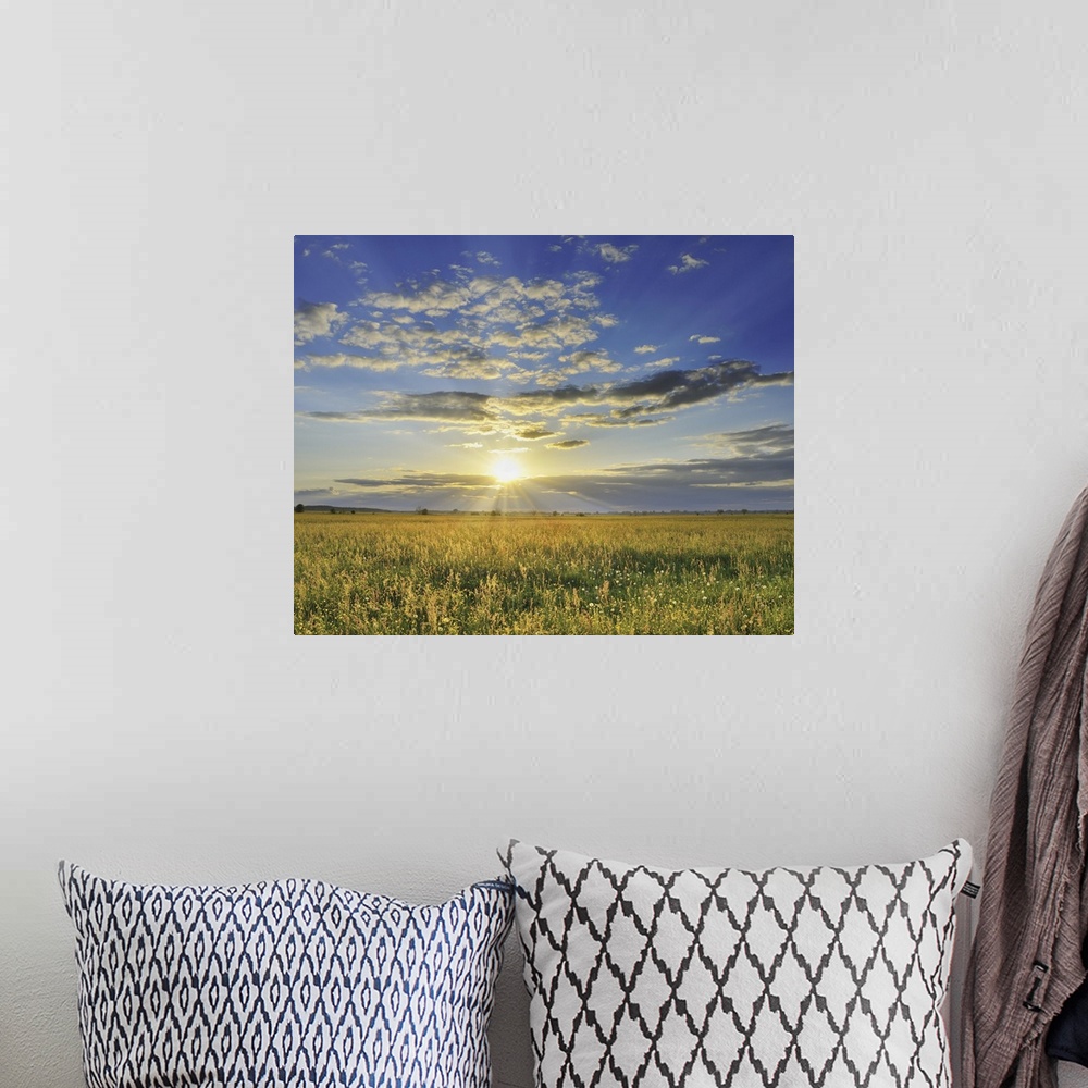 A bohemian room featuring Sunset over Meadow, Altmuhlsee, Gunzenhausen, Franconia, Bavaria, Germany