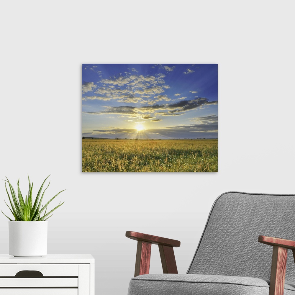 A modern room featuring Sunset over Meadow, Altmuhlsee, Gunzenhausen, Franconia, Bavaria, Germany