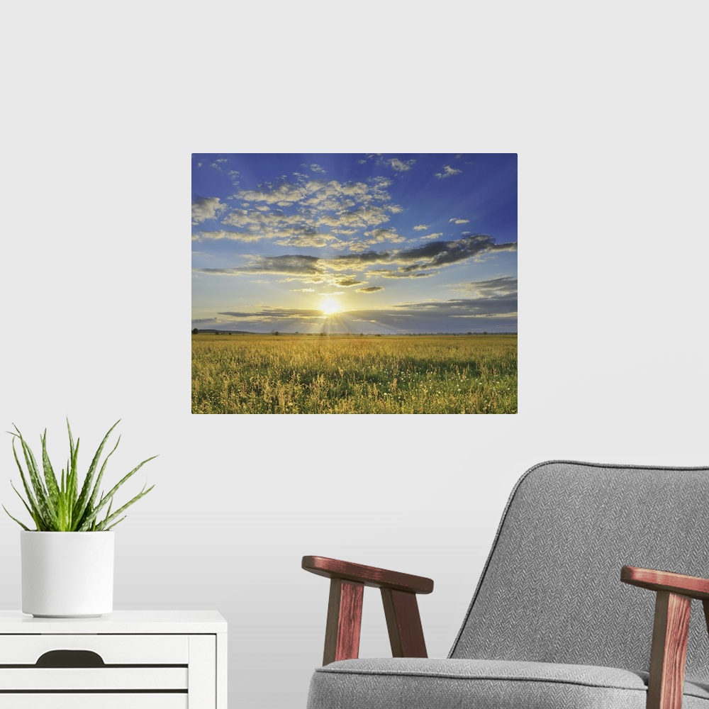 A modern room featuring Sunset over Meadow, Altmuhlsee, Gunzenhausen, Franconia, Bavaria, Germany