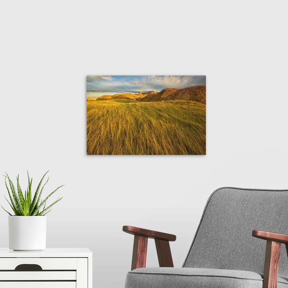 A modern room featuring Sunset over the blowing grass and mud formations in badlands national park; south dakota usa