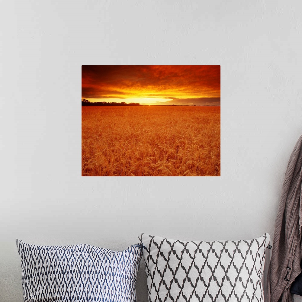 A bohemian room featuring Sunset Over Wheat Field