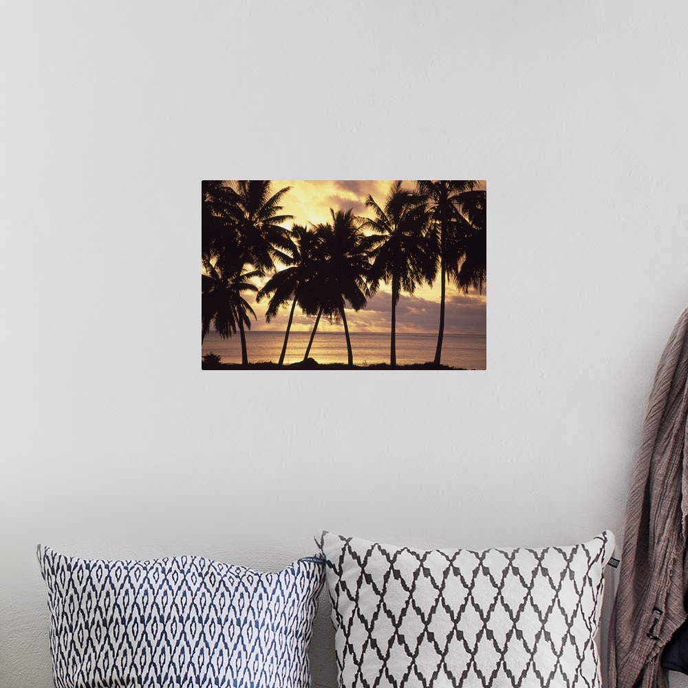 A bohemian room featuring Sunset (Palm Trees In Silhouette), Aitutaki, Cook Islands