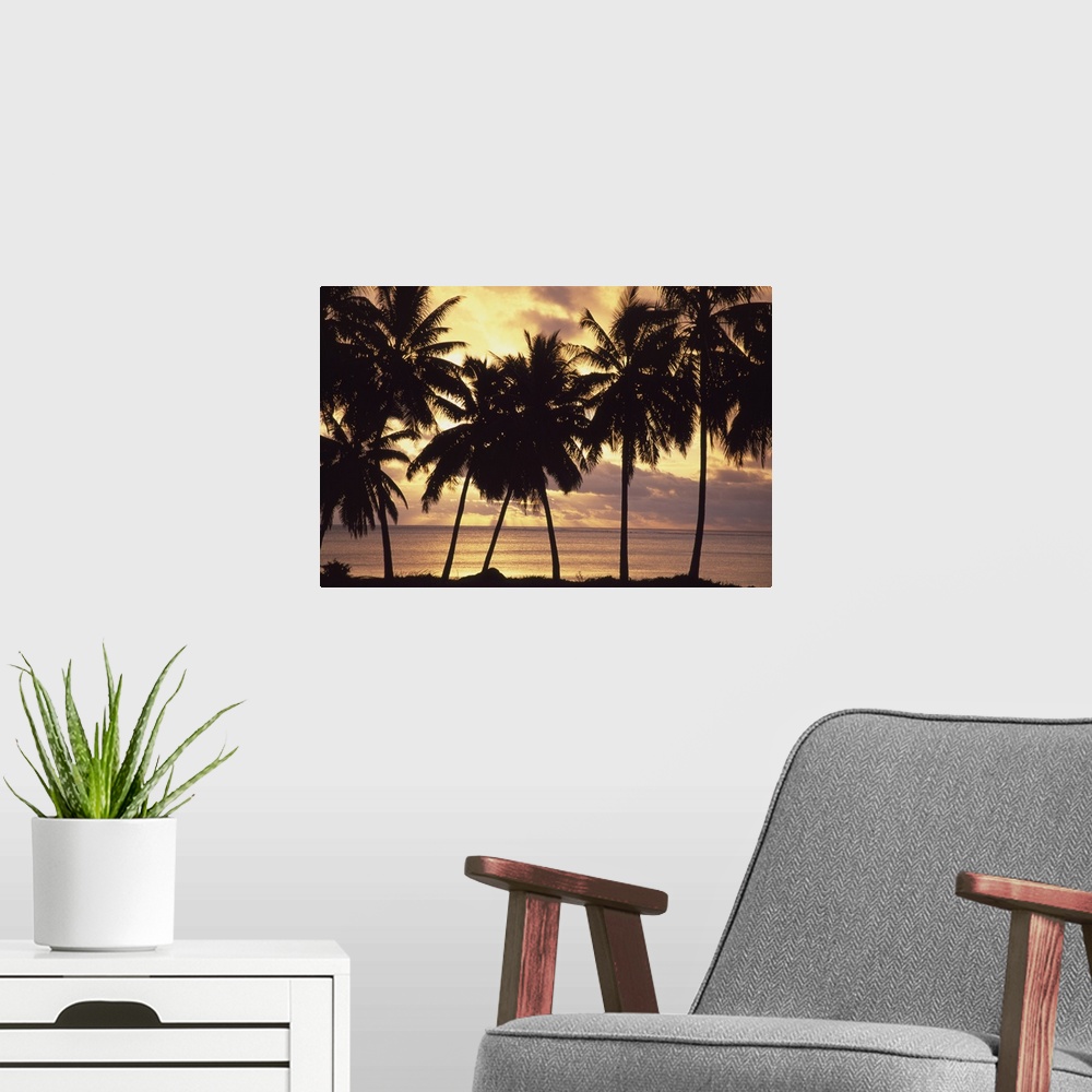 A modern room featuring Sunset (Palm Trees In Silhouette), Aitutaki, Cook Islands
