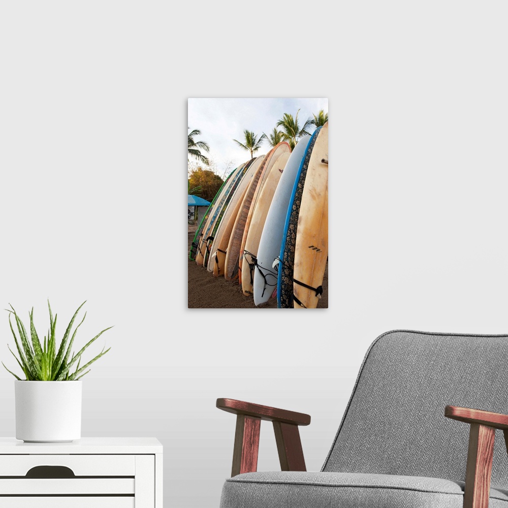 A modern room featuring Surfboards Standing Up Against A Rack On The Beach, Sayulita, Mexico