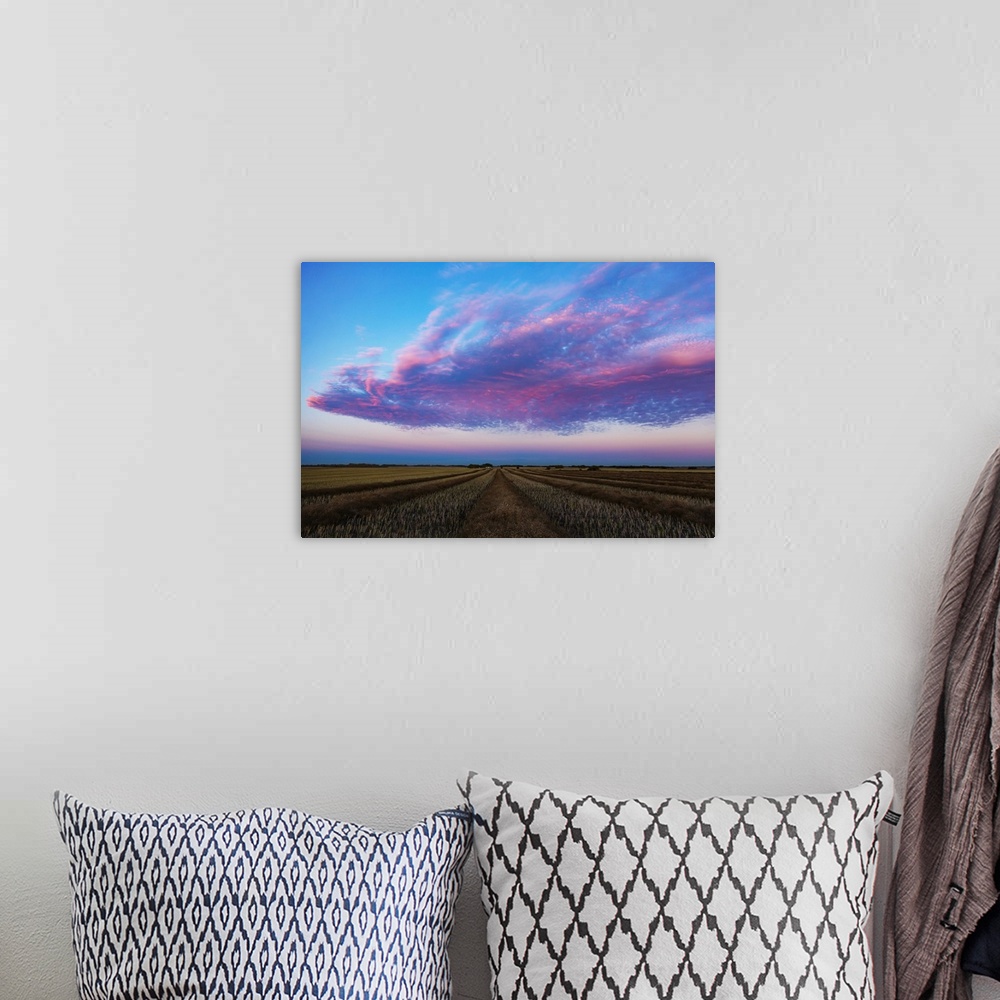 A bohemian room featuring Swathed canola field at sunset with glowing pink clouds; Legal, Alberta, Canada