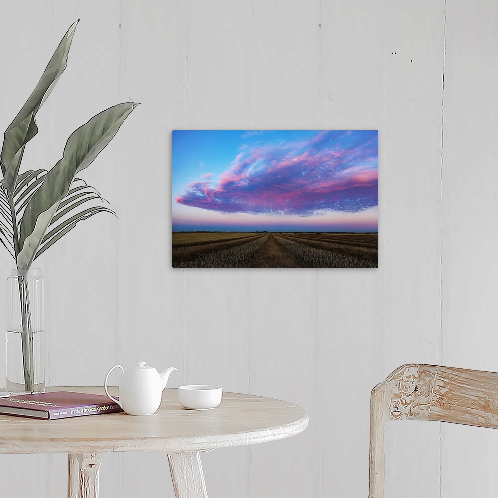 A farmhouse room featuring Swathed canola field at sunset with glowing pink clouds; Legal, Alberta, Canada