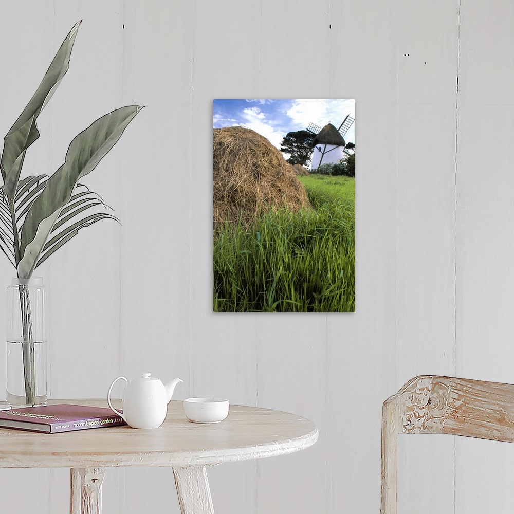 A farmhouse room featuring Tacumshane Windmill, County Wexford, Ireland; Windmill And Haystack