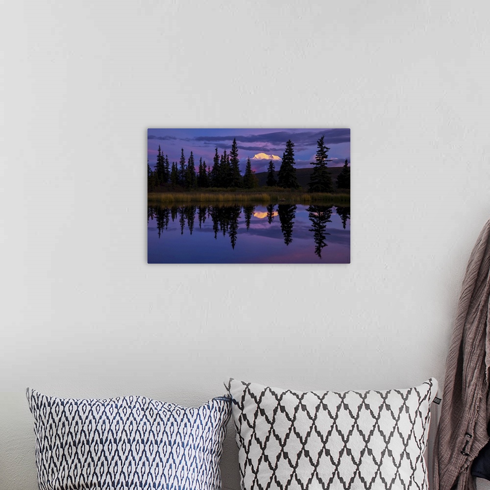 A bohemian room featuring Tall trees reflected in a pond with Mt. McKinley in the distance.