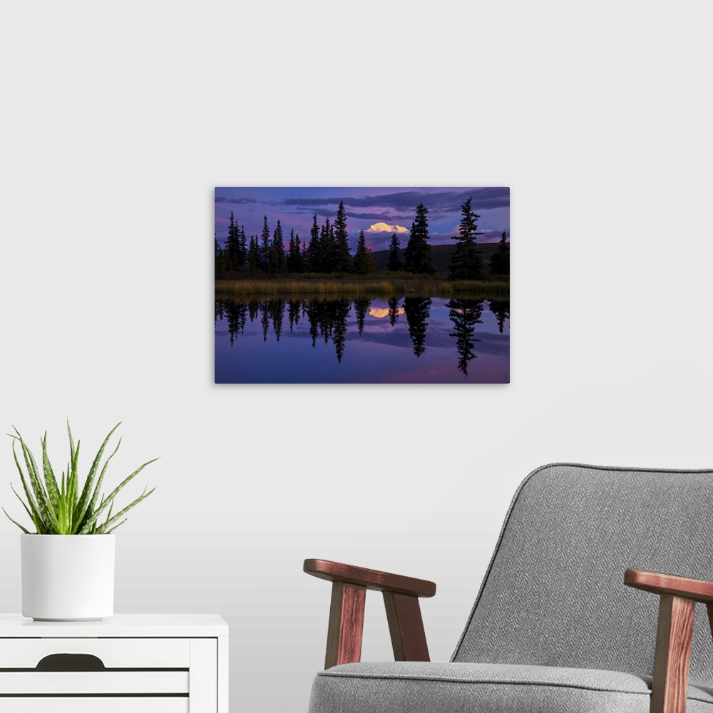 A modern room featuring Tall trees reflected in a pond with Mt. McKinley in the distance.