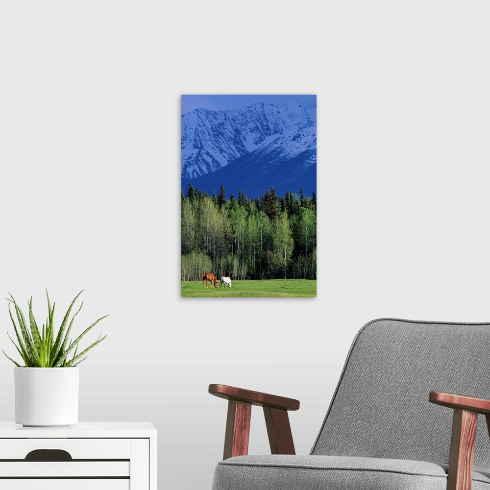 A modern room featuring Telkwa High Road, Bulkley Valley, British Columbia, Canada