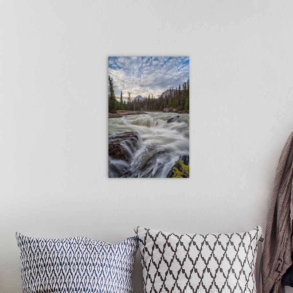 A bohemian room featuring The Kicking Horse River flows over a waterfall before it goes beneath a natural bridge, Yoho Nati...