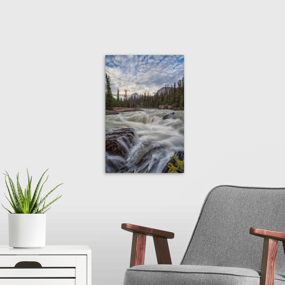 A modern room featuring The Kicking Horse River flows over a waterfall before it goes beneath a natural bridge, Yoho Nati...