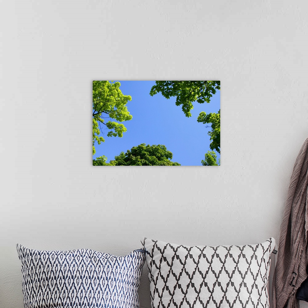 A bohemian room featuring The Sky Through Trees