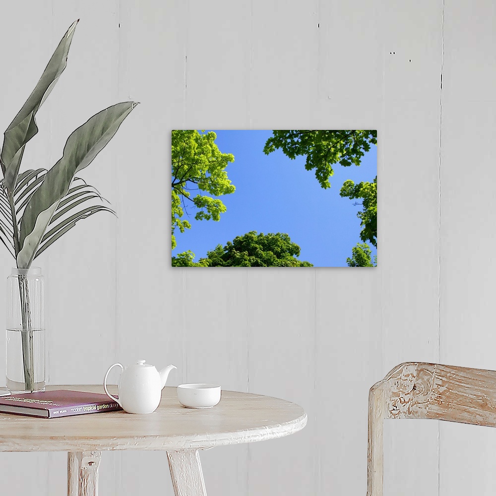A farmhouse room featuring The Sky Through Trees