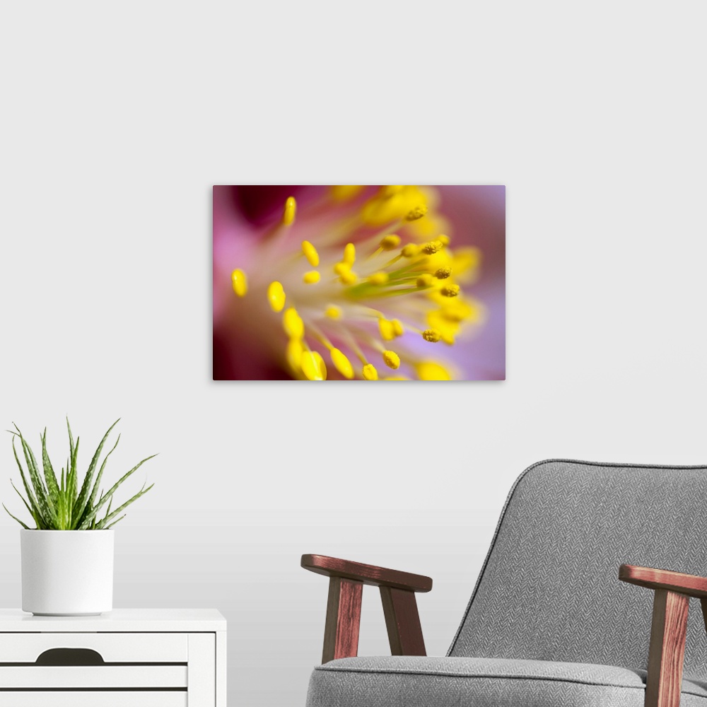 A modern room featuring The Stamen Of A Flower