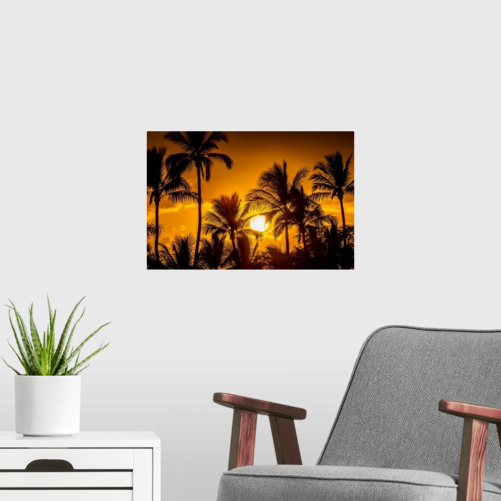 A modern room featuring The sun setting through silhouetted palm trees; Wailea, Maui, Hawaii, United States of America.