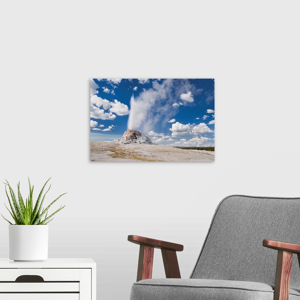 A modern room featuring The White Dome Geyser Erupting, Yellowstone National Park