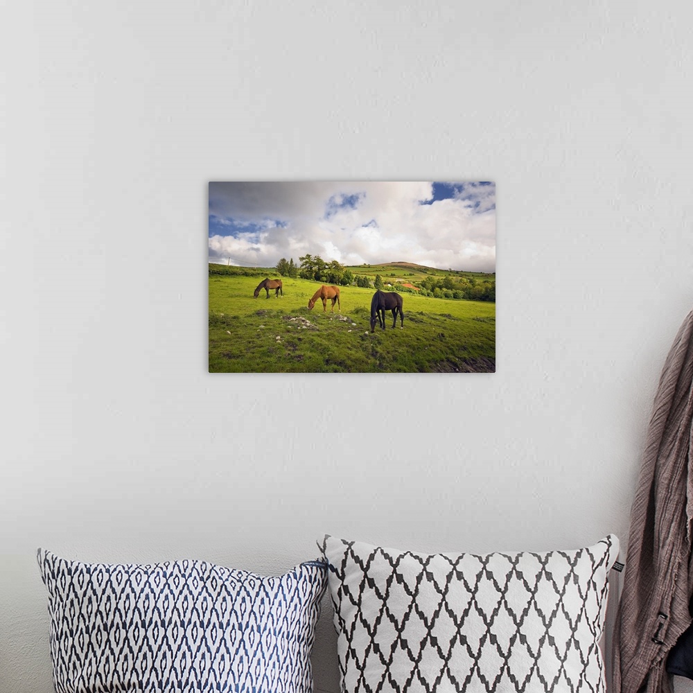 A bohemian room featuring Three Horses Grazing In Field