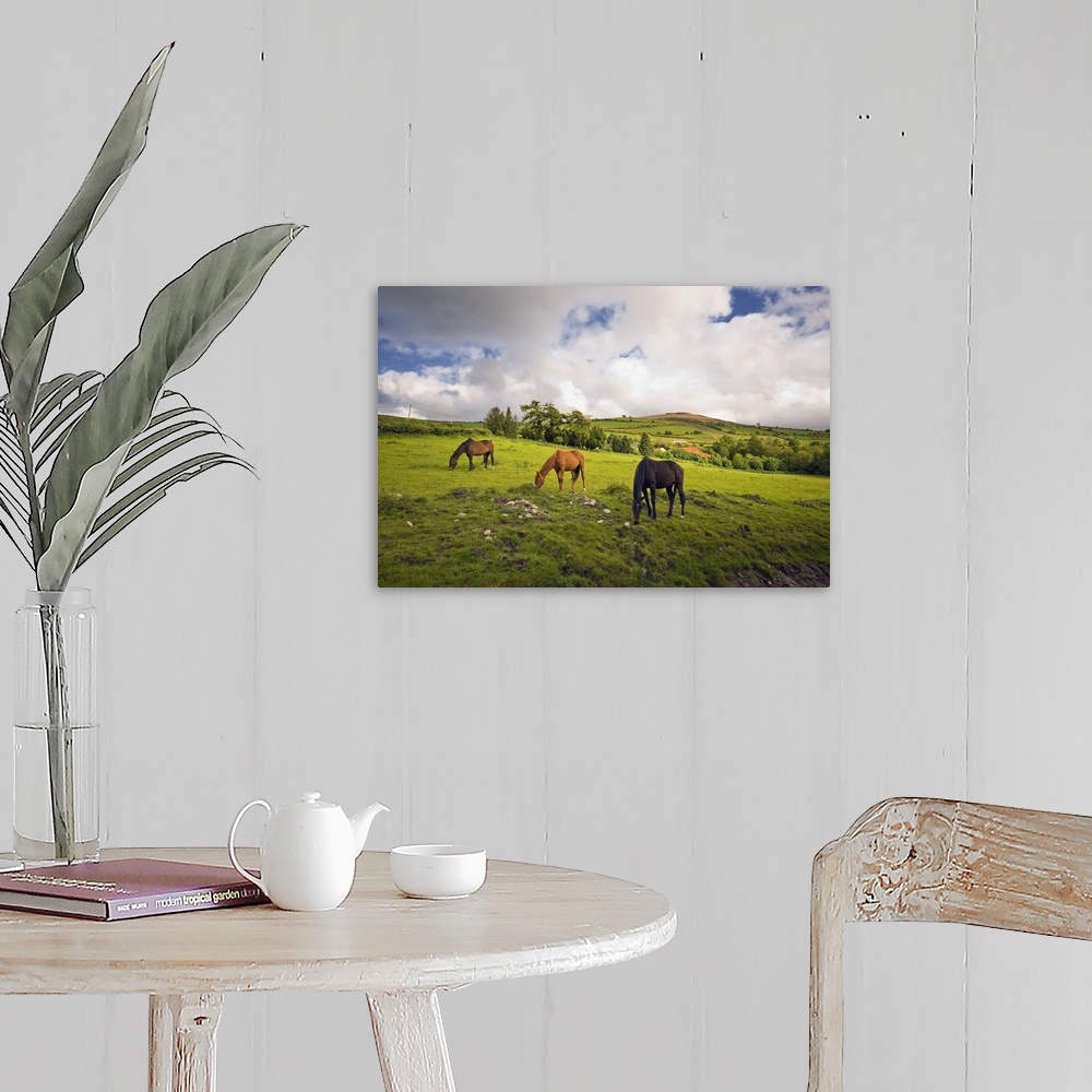 A farmhouse room featuring Three Horses Grazing In Field