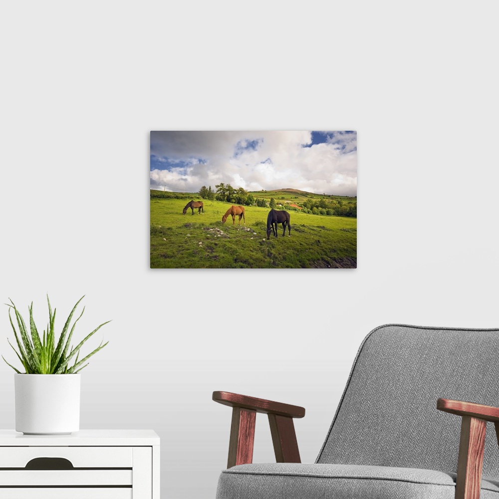 A modern room featuring Three Horses Grazing In Field