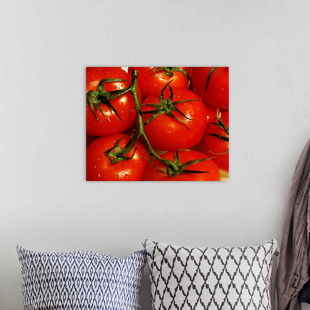 A bohemian room featuring Up close view of a bunch of tomatoes on the vine printed on canvas.