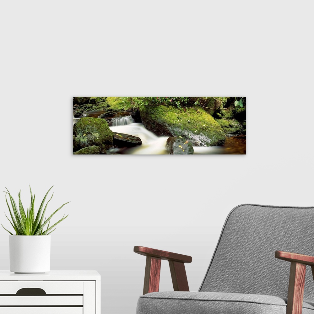 A modern room featuring Torc River Flowing Through Forest, Killarney, Ring Of Kerry, County Kerry, Ireland