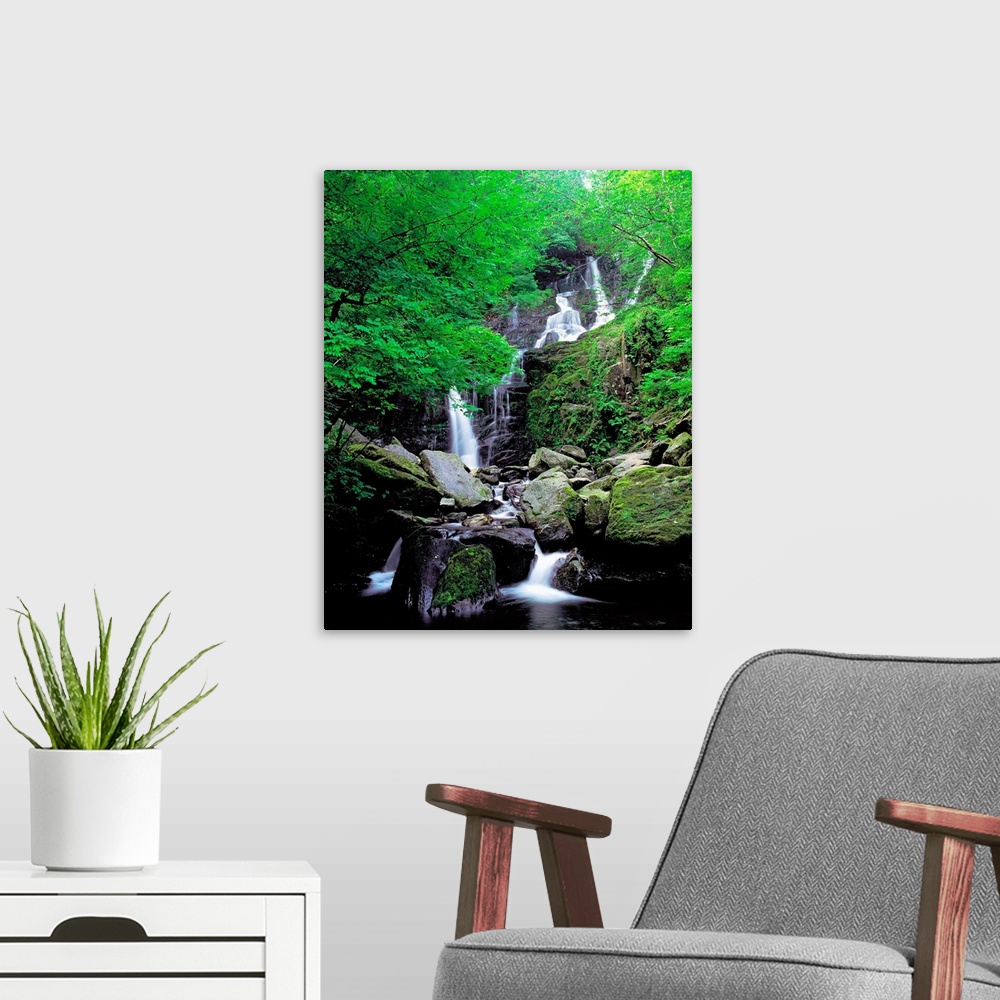 A modern room featuring Torc Waterfall, Killarney, County Kerry, Ireland