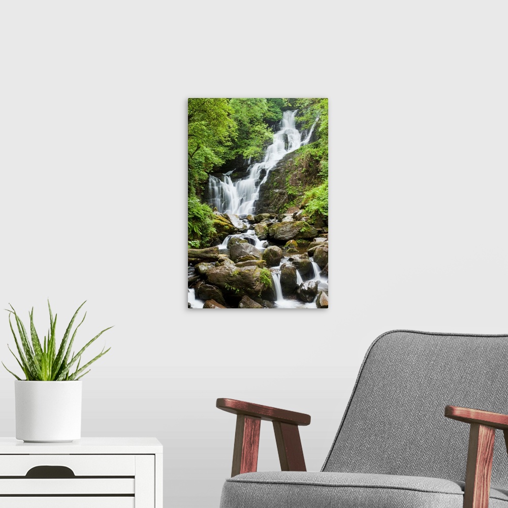 A modern room featuring Torc Waterfall; Killarney, County Kerry, Ireland