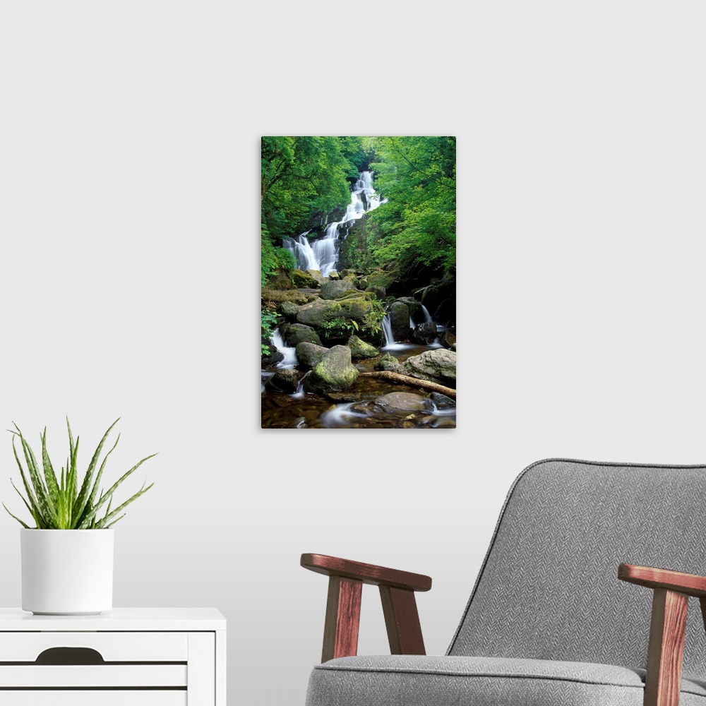 A modern room featuring Torc Waterfall, Killarney National Park, County Kerry, Ireland