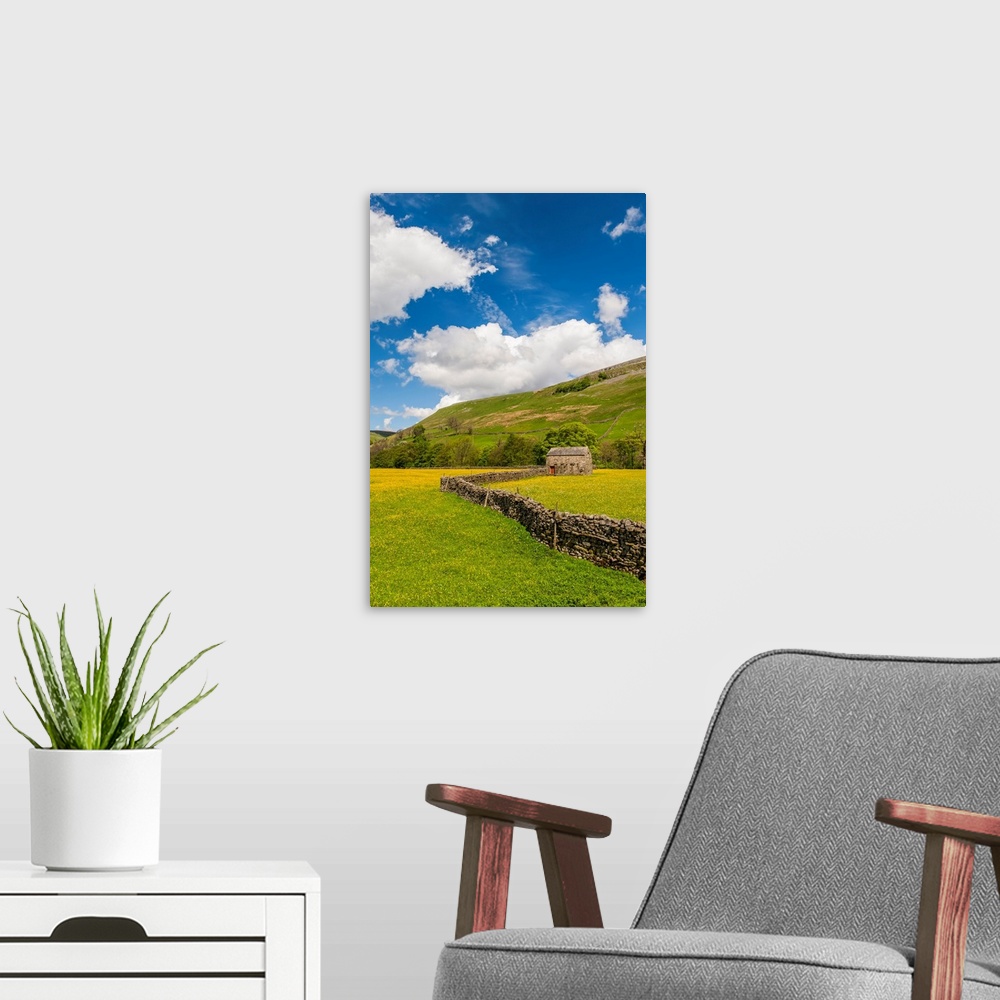 A modern room featuring Traditional meadows in Swaledale in early summer, covered in buttercups and wildflowers; Muker, N...