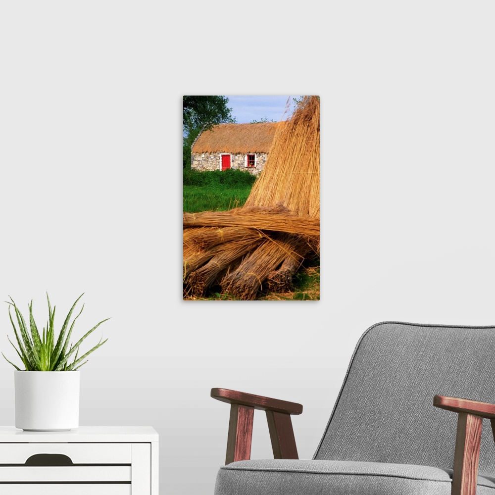 A modern room featuring Traditional Thatching, Ireland