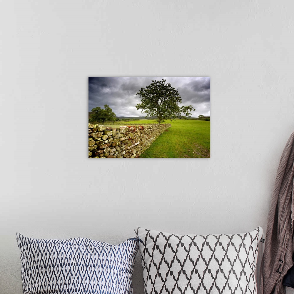 A bohemian room featuring Tree Along A Stone Fence, Cumbria, England.