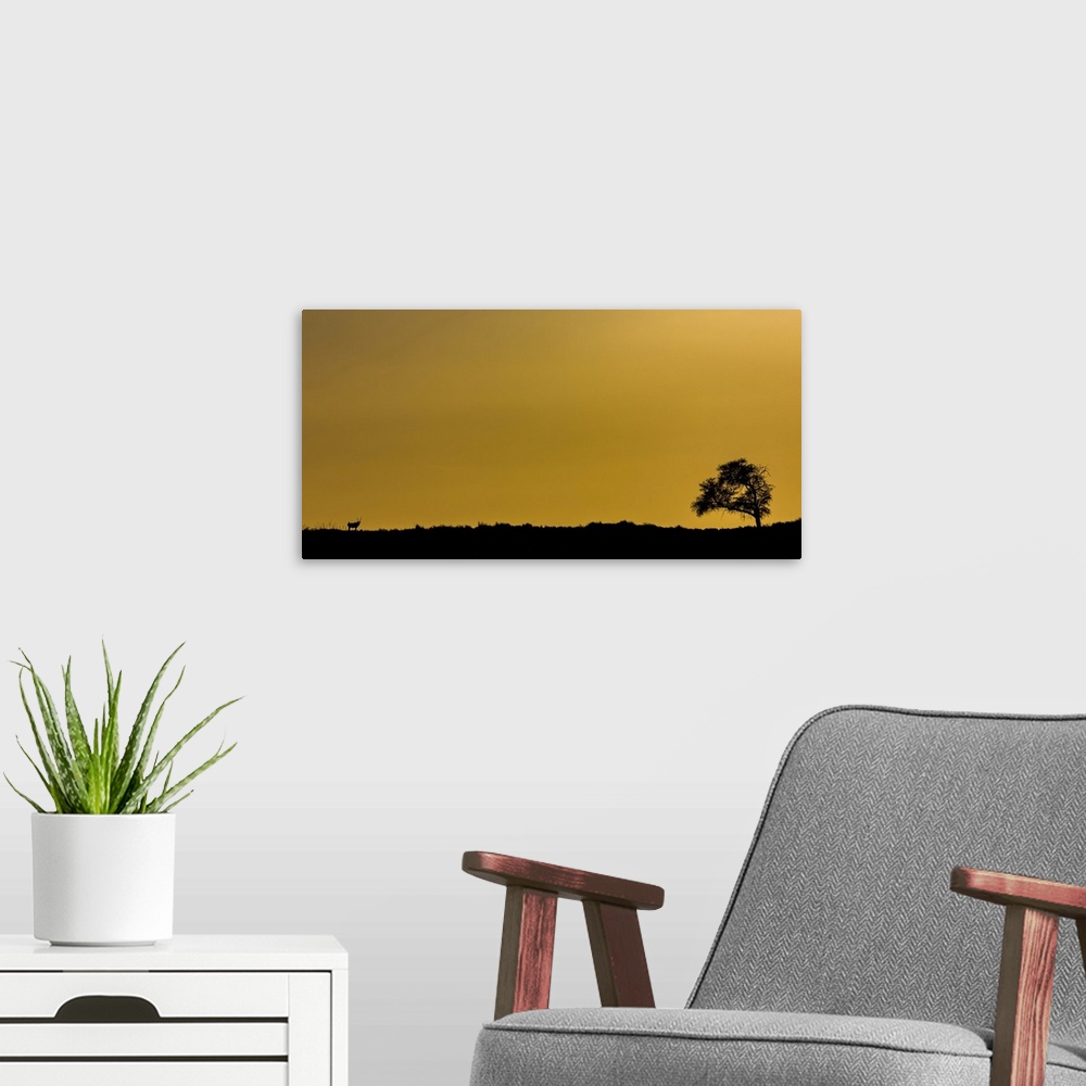 A modern room featuring Silhouette of a tree and antelope with a golden sky; Sossusvlei, Hardap Region, Namibia